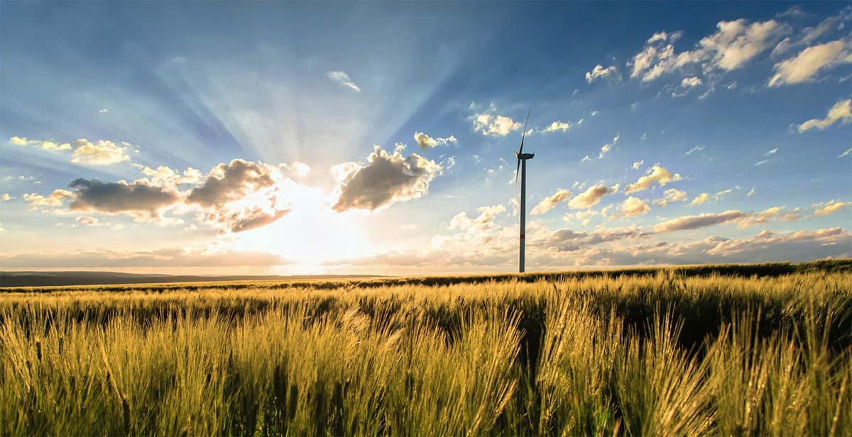 Raga Ibarrondo energías renovables